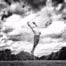 best male ballet dancers of the world